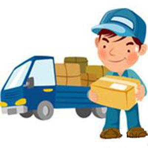 Chuyển phát nhanh nội địa