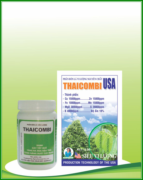 THAICOMBI
