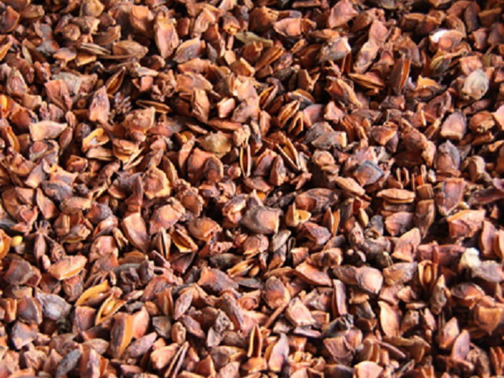 Hồi mùa