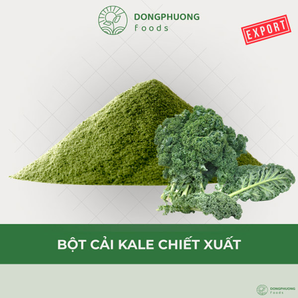 Bột cải kale chiết xuất