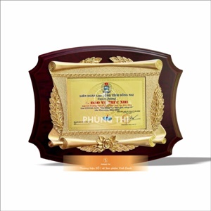 Bảng Vinh Danh GĐ 11