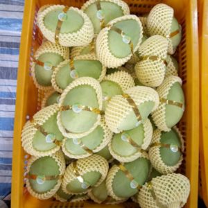 Xoài Cát Chu Cao Lãnh