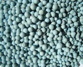 Zeolite hạt xanh lơ