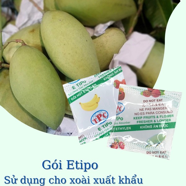 Gói hút khí ethylene xoài xuất khẩu