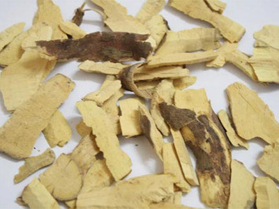 Cây mật gấu