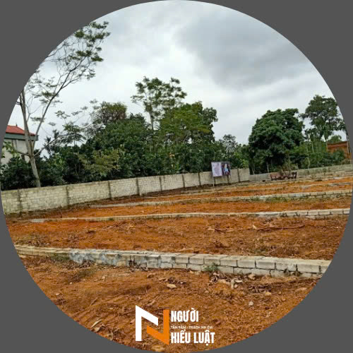 Tư vấn mua bán đất đai