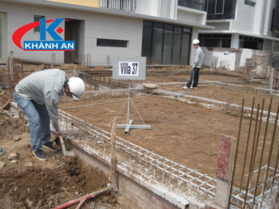 Dịch vụ phòng chống mối cho công trình xây dựng