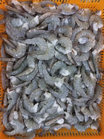 Tôm nước ngọt