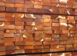 Gỗ tràm đóng pallet