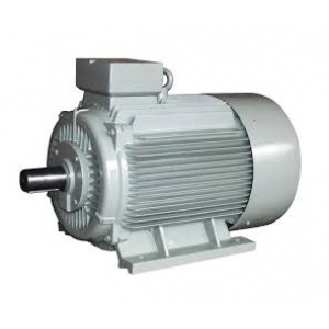 Motor điện công nghiệp 3 pha