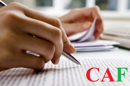 Dịch Vụ Lập Hồ Sơ Xác Định Giá Giao Dịch Liên Kết