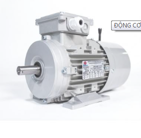 Động cơ điện 3 pha Enertech