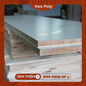 Ván Ép Phủ Keo Poly