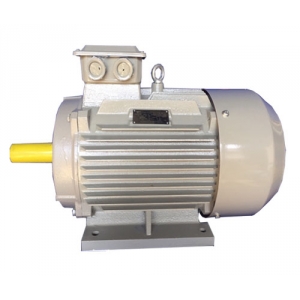 Motor điện công nghiệp 2 pha