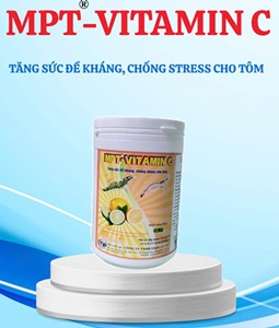 MPT-VITAMIN C