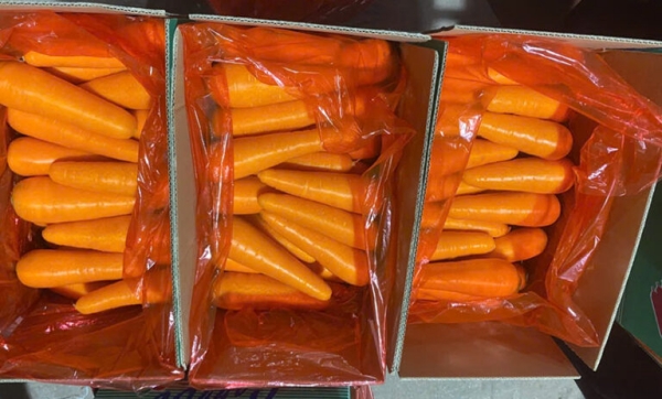 Cà rốt