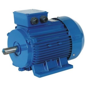 Motor Điện 3 Pha