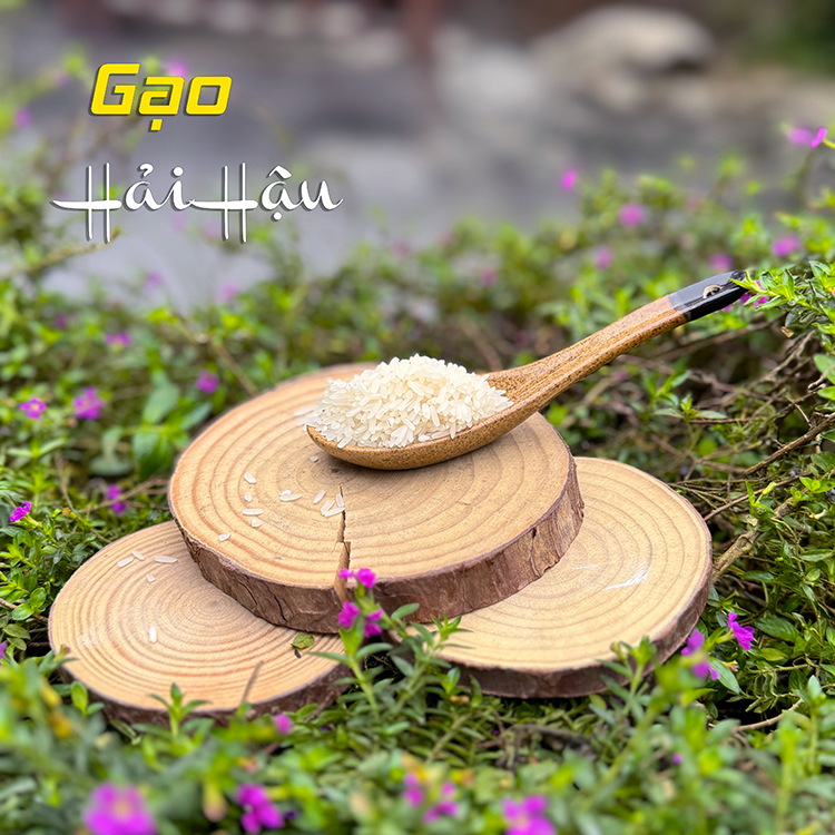 Gạo Hải Hậu