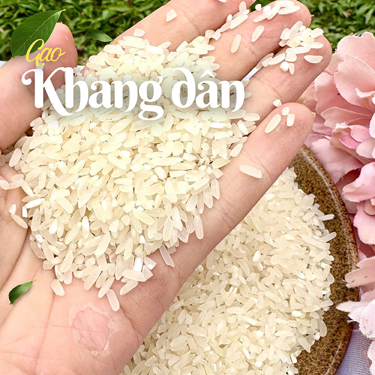 Gạo Khang Dân