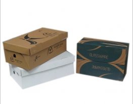Bao bì carton ngành giày da