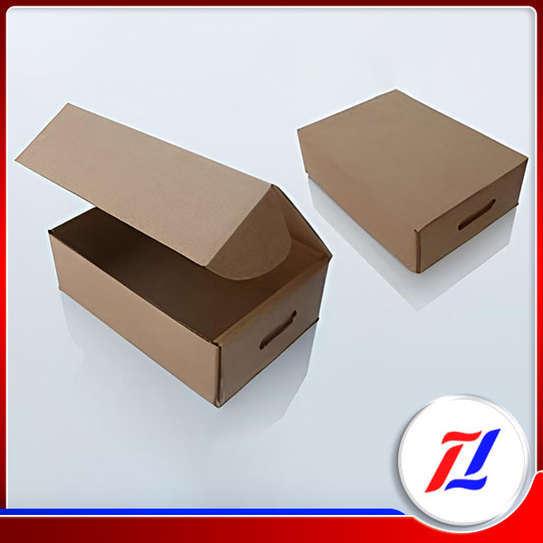Thùng carton 5 lớp nắp cài