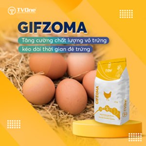 Gifzoma