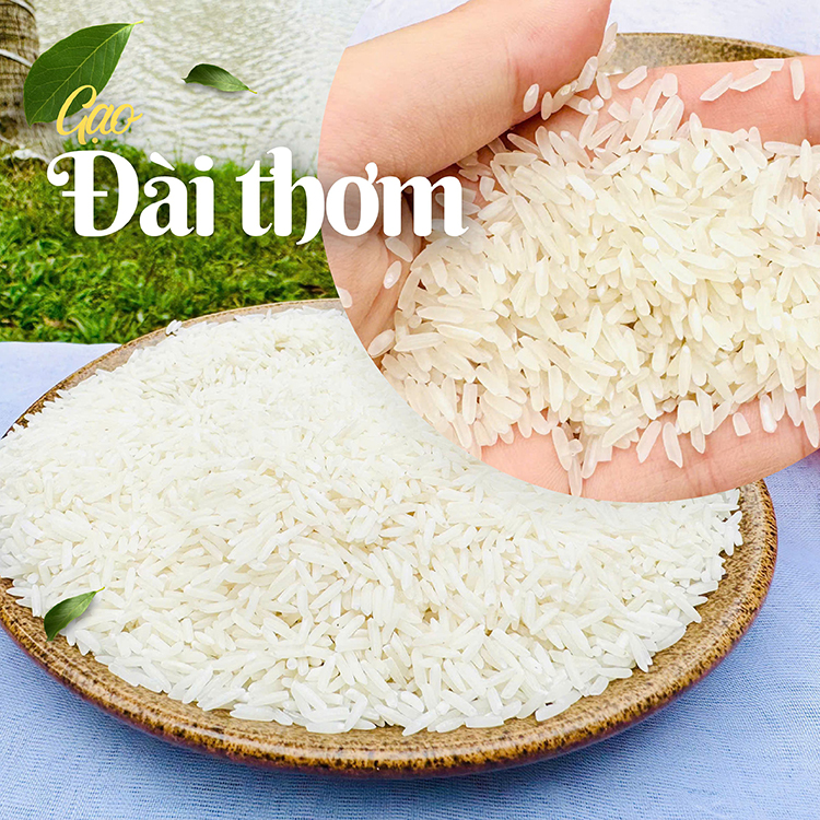 Gạo Đài thơm