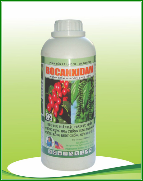 BOCANXIDAM