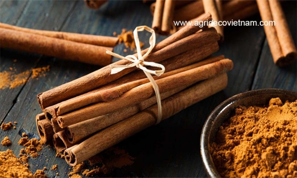 Quế thanh