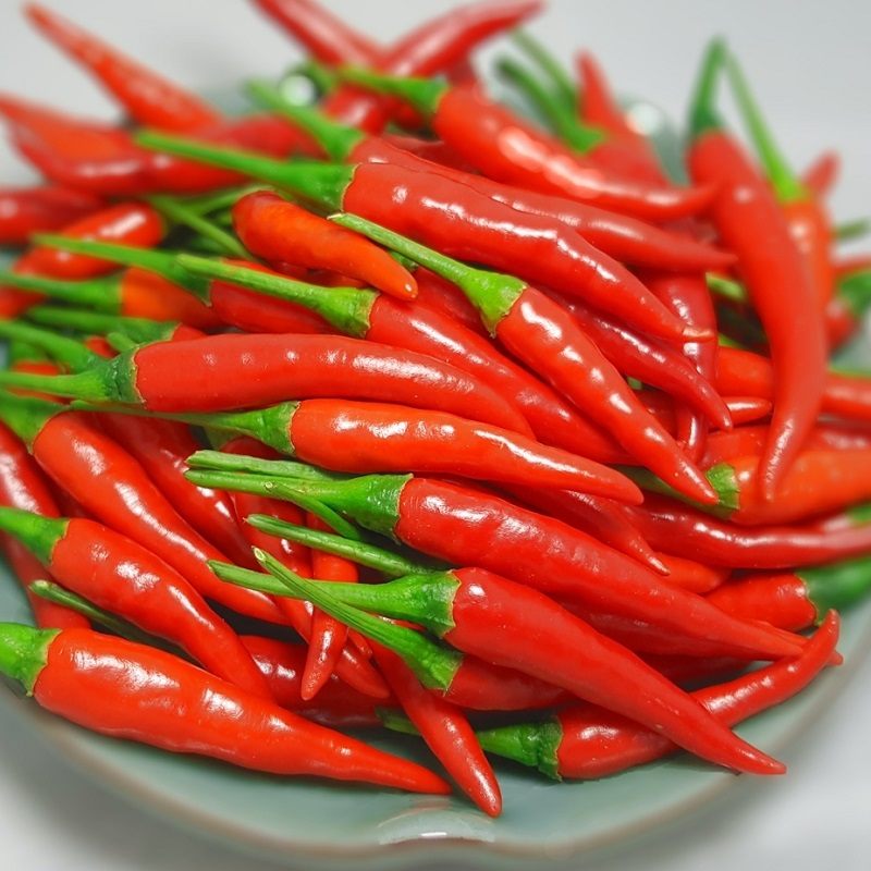 ớt hiểm