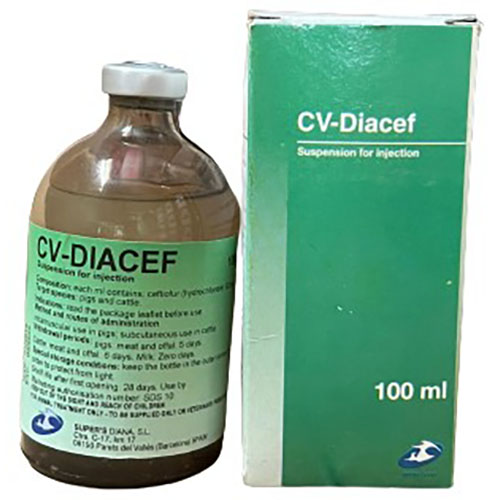 CV - Diacef