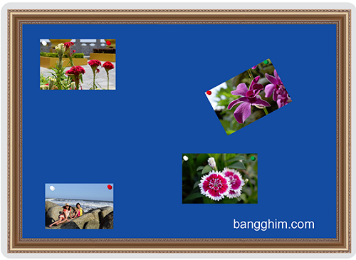 Bảng ghim khung tranh