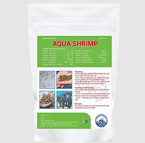 Aqua shrimp