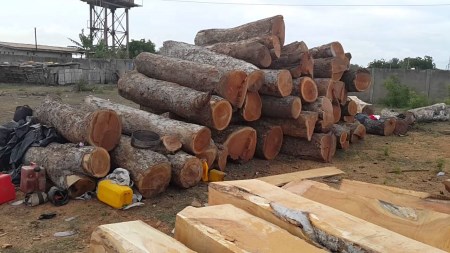 Gỗ nhập khẩu Châu Phi