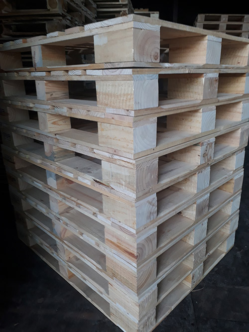 Pallet gỗ thông