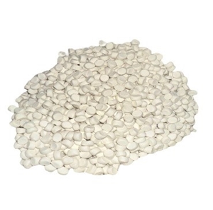Chất Xúc Tác TMTD 80