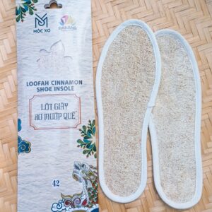 Lót giày xơ mướp