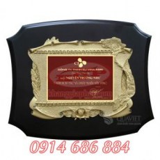 Kỷ niệm chương bằng gỗ