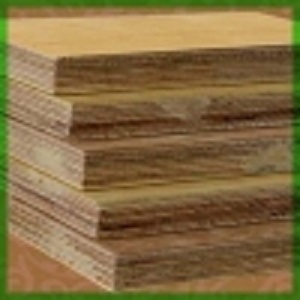 Ván ép phủ Veneer