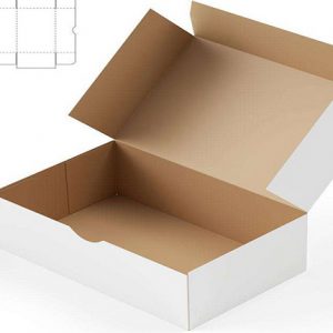 Thùng carton 3 lớp trắng