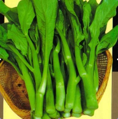 Cải xòe