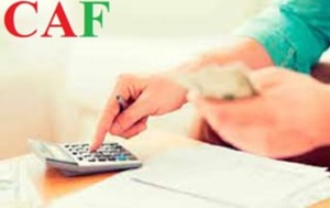 Dịch Vụ Kiểm Toán CAF