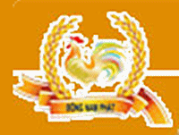 Dong Nam Phat Trading Manufacturing Co., Ltd logo