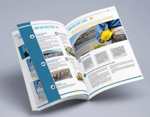 In catalogue