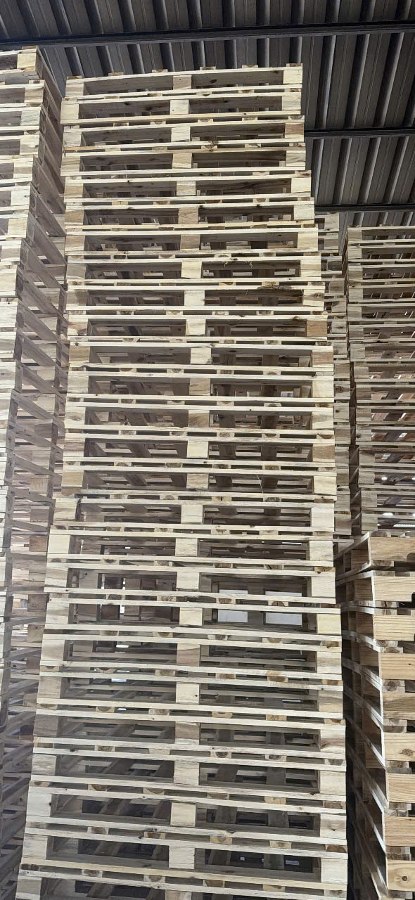 Pallet gỗ các loại