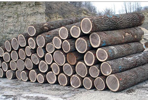 Gỗ Óc Chó Walnut