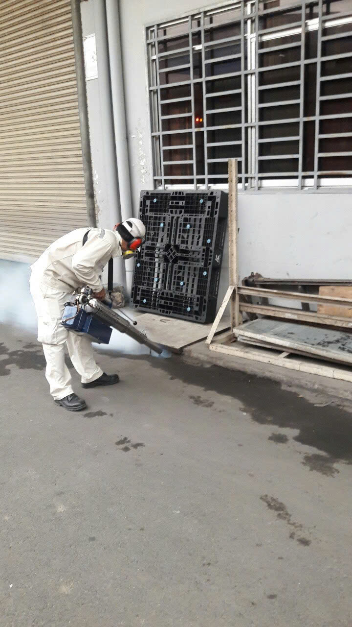 Dịch vụ diệt gián