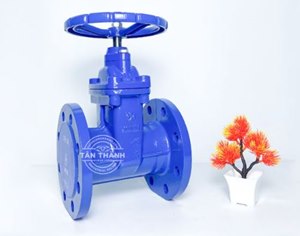 Van Cửa Gang Ty Chìm PN16 (Đệm Cao Su) Joeun