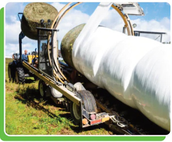 Cuộn LLDPE khổ rộng