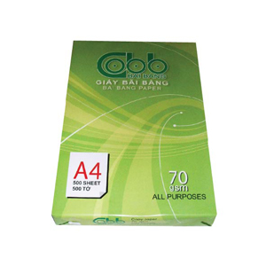 Giấy bãi bằng